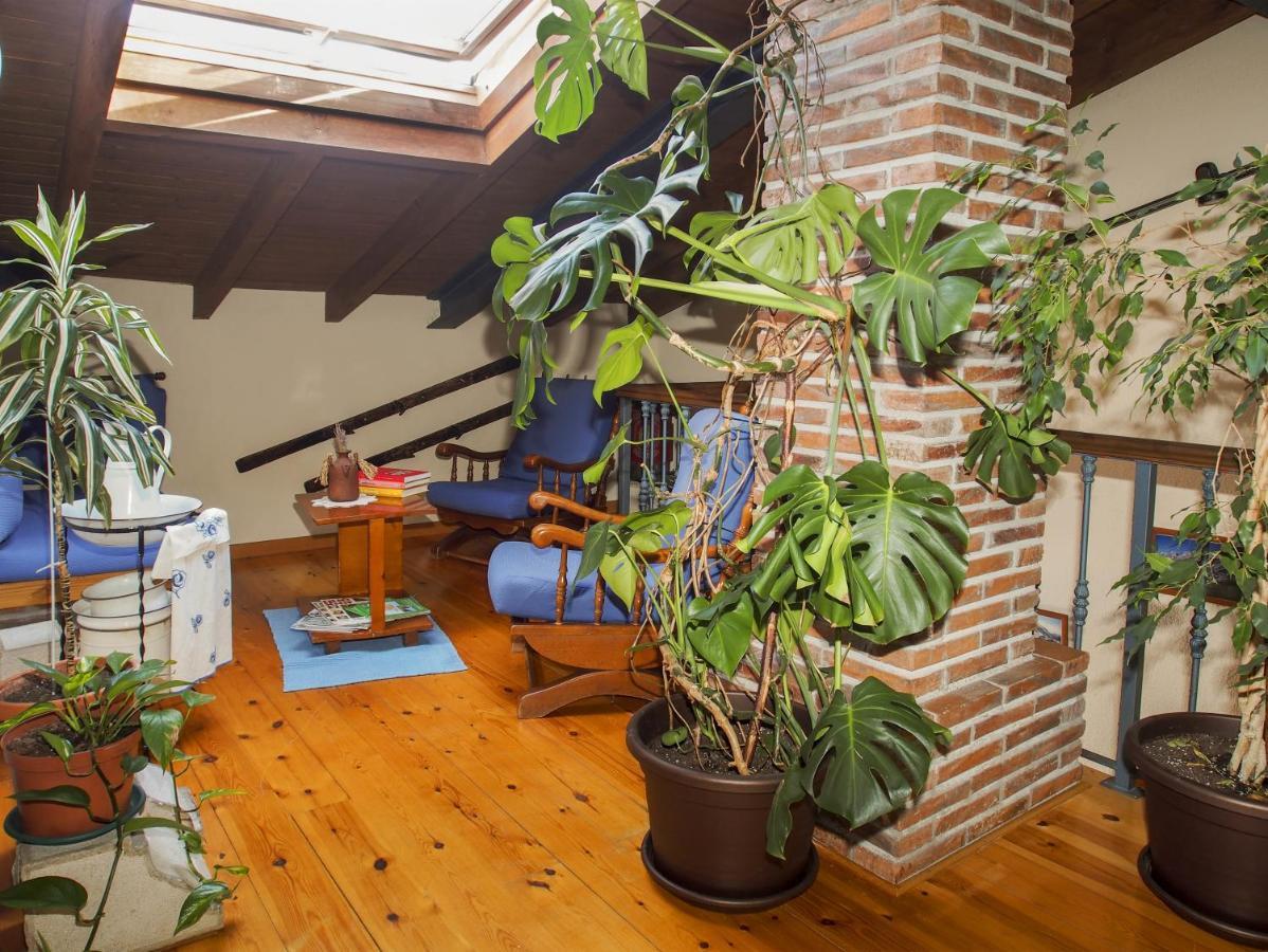 Casa De La Montana Albergue Turistico Avin ภายนอก รูปภาพ